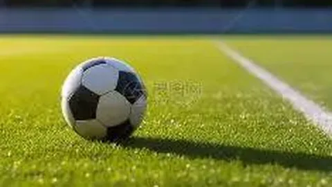 意甲国米击败英超阿森纳，成功晋级欧冠