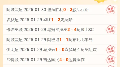 2025世界杯：厄瓜多尔全景扫描